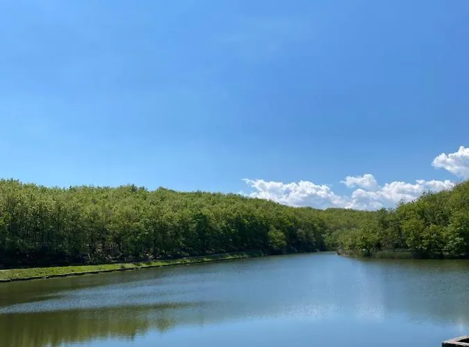 Alojamento de Acomodação e Pequeno-almoço Palazzo Pancaro 3*